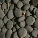 wall