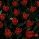 wall